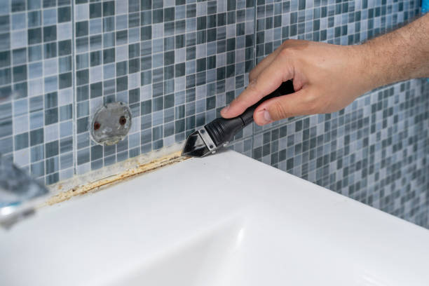 Reliable Eielson Af, AK Mold Remediation Solutions