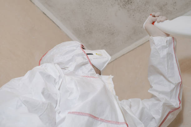 Best Health and Safety Mold Remediation in Eielson Af, AK